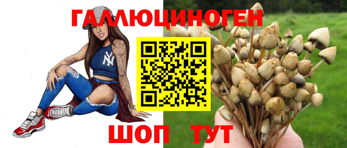 Череповец  Псилоцибиновые грибы Cubensis  Вход с VPN  Галлюциногенные грибы Magic Shrooms 